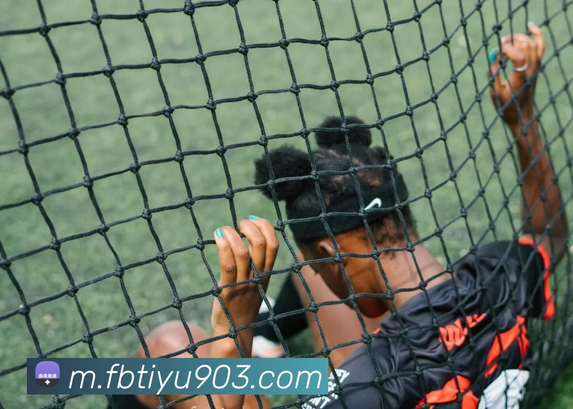 FB体育APP 封面图